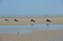 bray dunes 2018 154